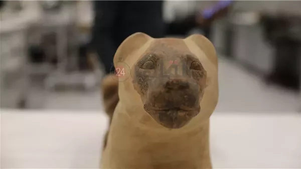 قطع أثرية جديدة داخل