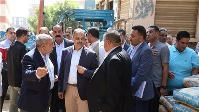 بتكلفة نحو 12 مليون جنيه.. محافظ الشرقية يتفقد إنشاء مجمع المصالح الحكومية بديرب نجم| صور