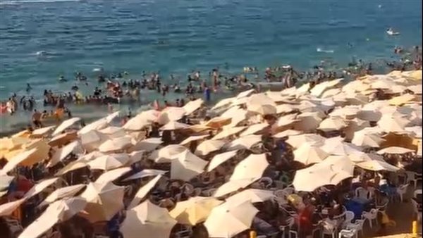 شواطئ الإسكندرية