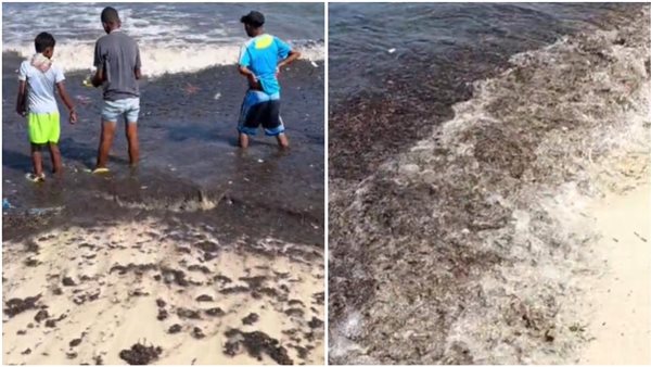 رواسب على الشواطي