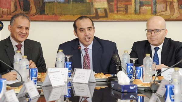 المستشار محمود فوزي