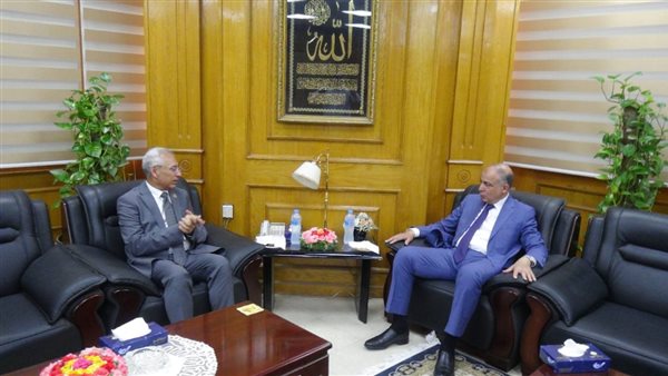 جامعة المنيا