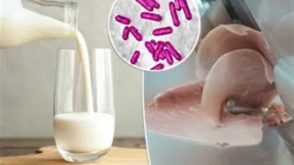 الليستيريا - أرشيفية