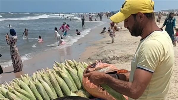 السيد أثناء تجهيز