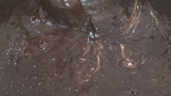 ضبط مصنع طحينة مخالف