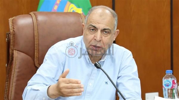 محافظ المنيا