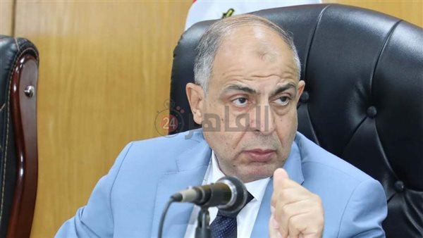 محافظ المنيا