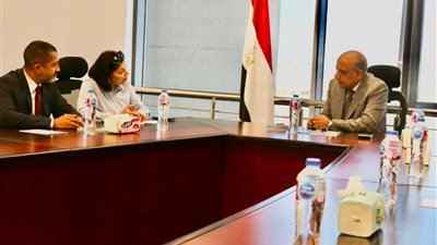 وزير الكهرباء: خطة عاجلة لزيادة قدرة الشبكة الكهربائية على استيعاب الأحمال