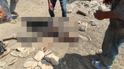 خبز ملطخ بالدماء.. إسرائيل تقتل صغيرًا فلسطينيًا خلال إحضاره الطعام لأسرته