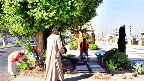 أعمال تشجير كورنيش