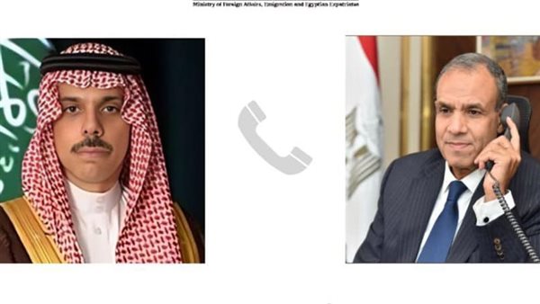 وزيرا خارجية مصر