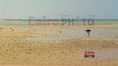 تراجع لـ عشرات الأمتار.. انحسار كبير لمياه الشواطئ بالغردقة بسبب ظاهرة الجزر| صور