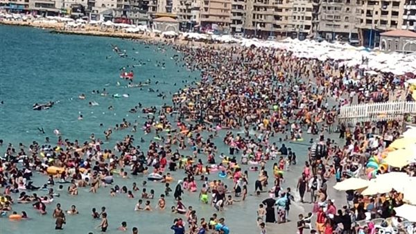 شواطئ الإسكندرية