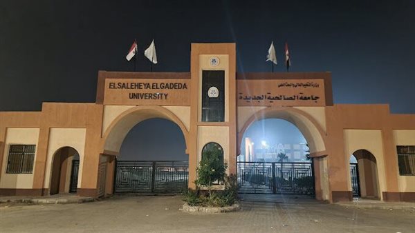القاهرة 24