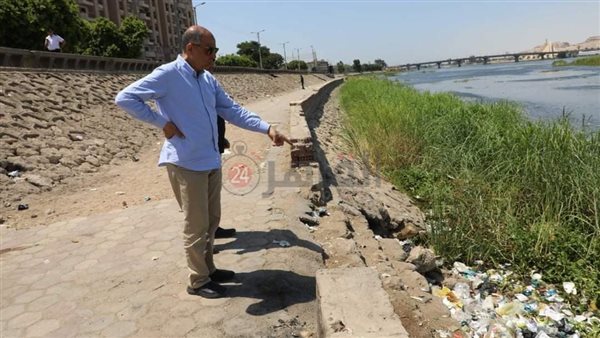 محافظ المنيا