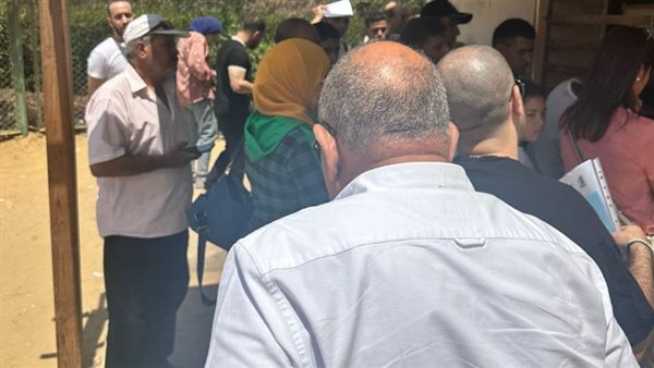 وزير الكهرباء - 