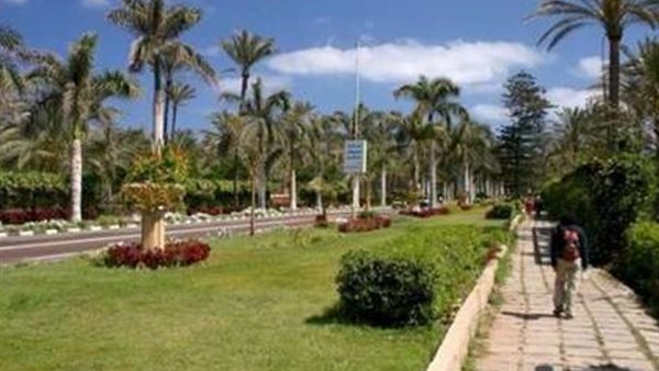 حدائق المنتزه 