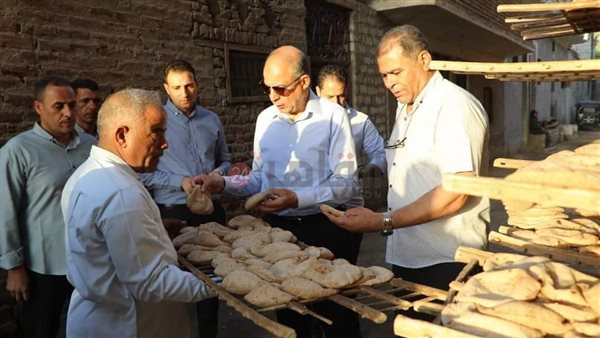 محافظ المنيا