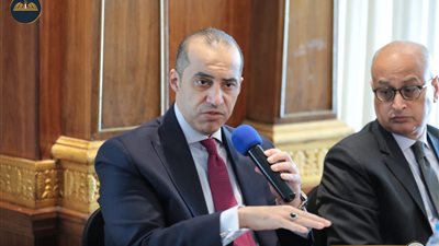 محمود فوزي: نستعرض حالة حقوق الإنسان أمام لجنة أممية كل 4 سنوات