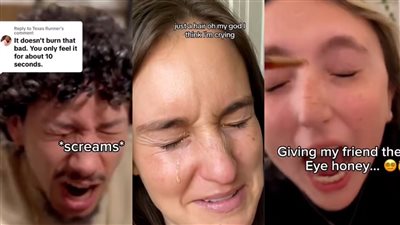 قطرات للعين.. عسل مغربي يتصدر تريند منصات التواصل الأجنبية ومستخدمون يزعمون فوائده لتعزيز الرؤية