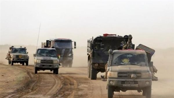 الجيش المالي