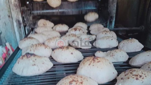 حملات تفتيشية بالمنيا