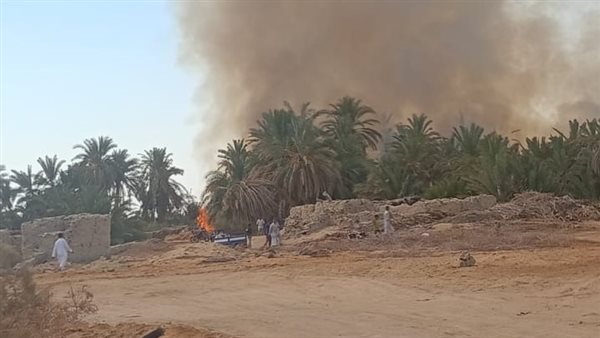 جانب من الحريق 