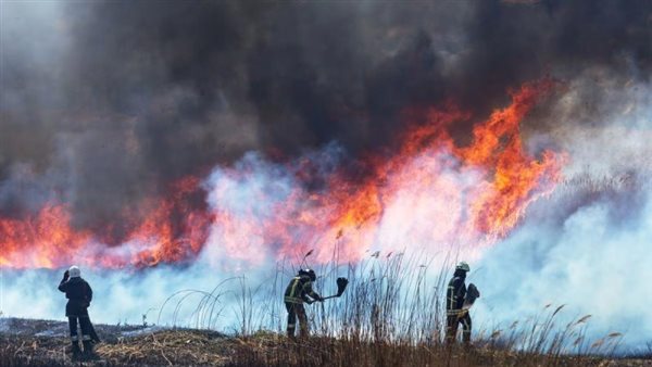  صورة تعبيرية 