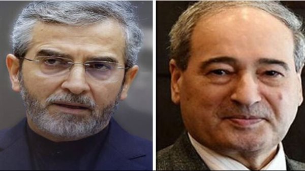 وزير الخارجية السوري