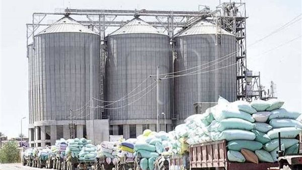 مطاحن شرق الدلتا