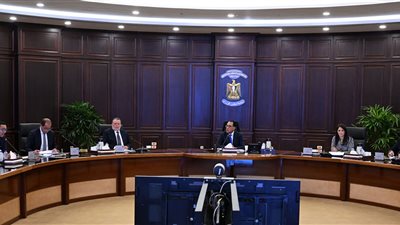 المشاط: البرنامج القُطري لمصر يمتد لـ 3 سنوات ويستهدف تنفيذ رؤية 2030