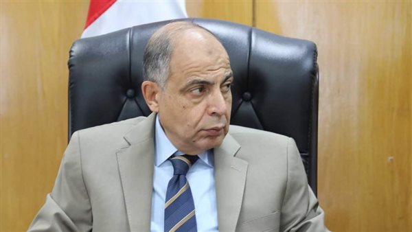 محافظ المنيا