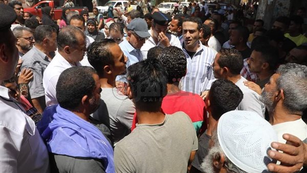 محافظ المنيا