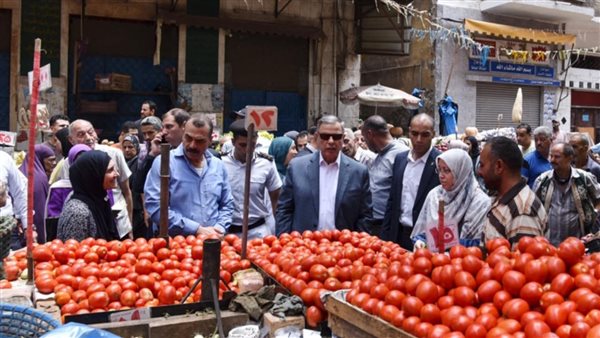 محافظ الإسكندرية