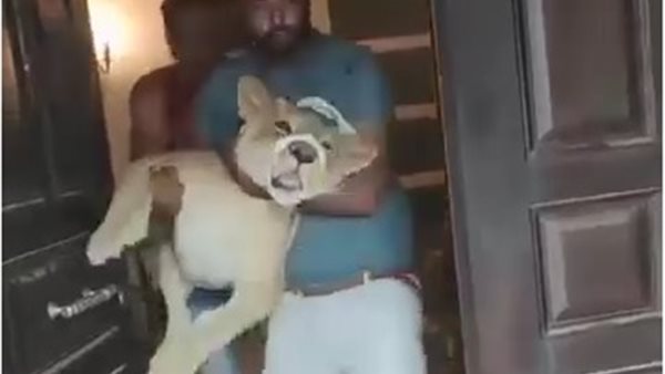 لحظة القبض على أسد