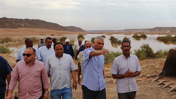 محافظ أسوان 