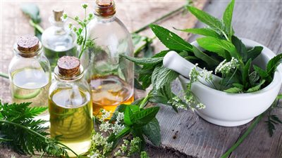 أفضل 5 أعشاب طبيعية لتعزيز صحة الجهاز الهضمي