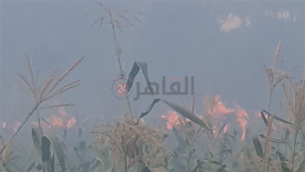الحريق في المنيا