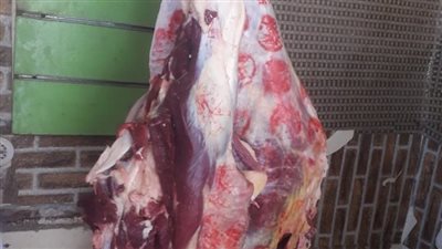 قبل بيعها للمواطنين.. بيطري قنا تضبط 70 كيلو لحوم ودواجن فاسدة