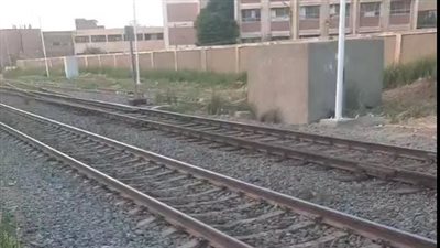 مصرع سيدة أسفل عجلات القطار أثناء مرورها بمزلقان بكوبري المنصورة القديم في المنيا