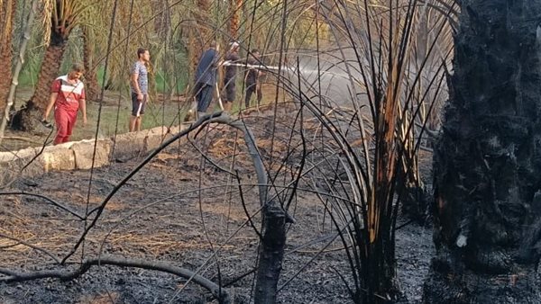 إخماد حريق مزارع