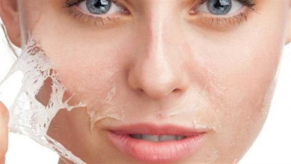 طريقة عمل الجيلاتين