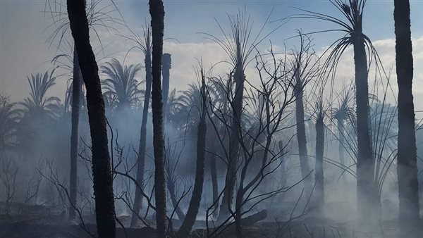 تفحم أكثر من 100