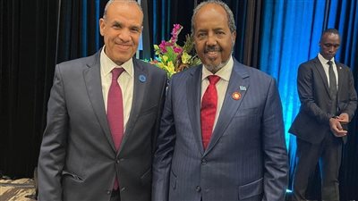 مصر تعلن تسليم شحنة أسلحة للصومال لدعم أمنها