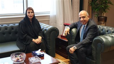 مصر والإمارات تبحثان سبل التعاون في مجالات الطاقة المتجددة