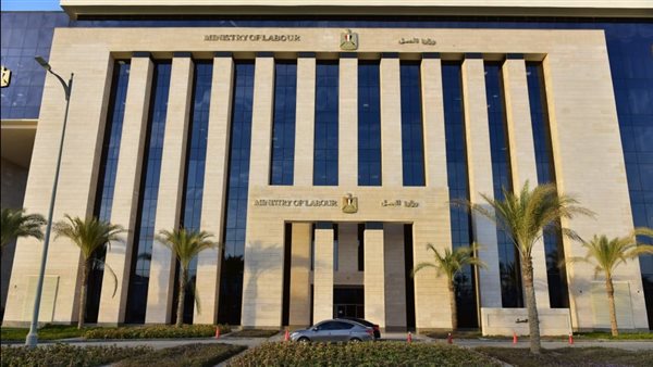 وزارة العمل 
