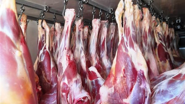 لحوم - أرشيفية