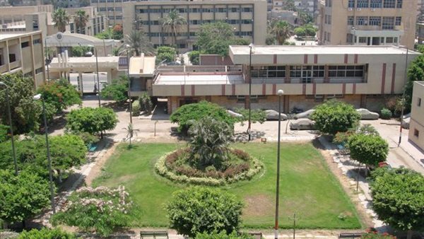 جامعة الزقازيق الأهلية