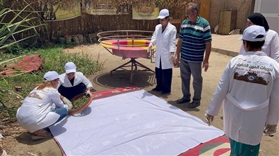 تعاون بين الأغذية العالمي والقوى العاملة لدعم مبادرات جديدة لتمكين وتشغيل الشباب 