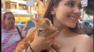 سيدة تركية تزعم خطف سائحة سويسرية لقطة مصرية واصطحابها إلى بلدها